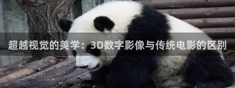 av午夜看看：超越视觉的美学：3D数字影像与传统电影的区别