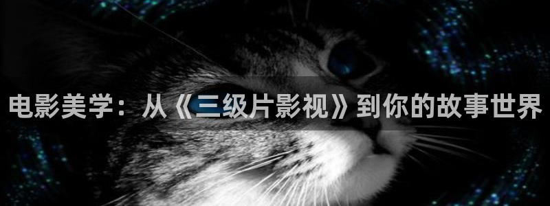 l午夜电影