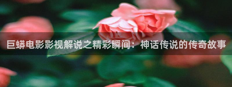日本午夜影院福利：巨蟒电影影视解说之精彩瞬间：神话传说的传奇故事