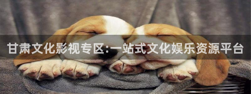 九七电影午夜理论：甘肃文化影视专区:一站式文化娱乐资源平台