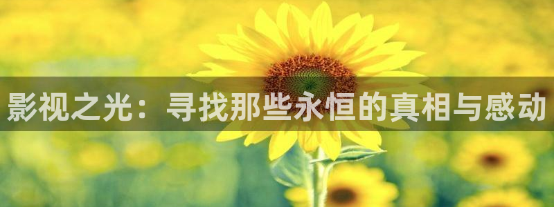 午夜伦理大片：影视之光：寻找那些永恒的真相与感动