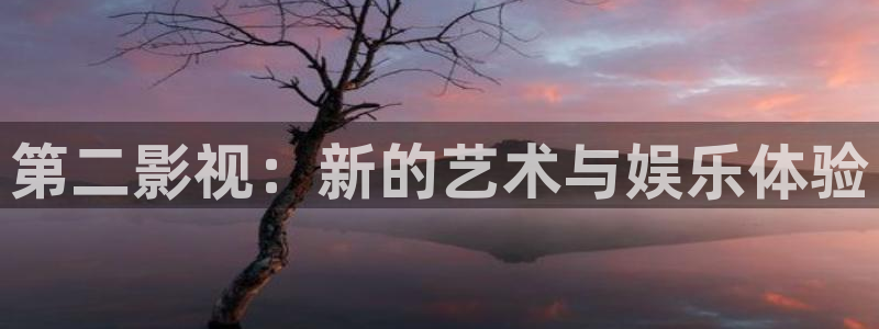 97影院午夜剧场：第二影视：新的艺术与娱乐体验
