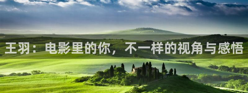 神马午夜伦理影院在线：王羽：电影里的你，不一样的视角与感悟