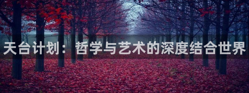 国产在线观看午夜小视频：天台计划：哲学与艺术的深度结合世界