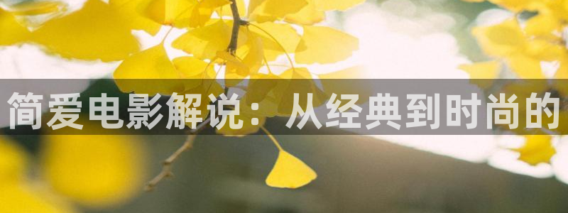 午夜理论片电影：简爱电影解说：从经典到时尚的
