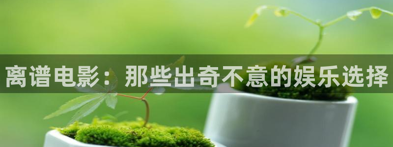 我不卡神马午夜影院：离谱电影：那些出奇不意的娱乐选择