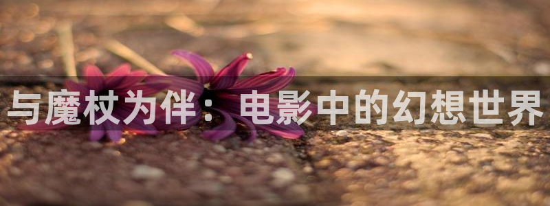 午夜男女视频在线观看：与魔杖为伴：电影中的幻想世界