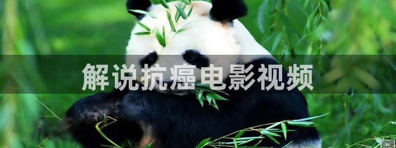 午夜免费看片福利