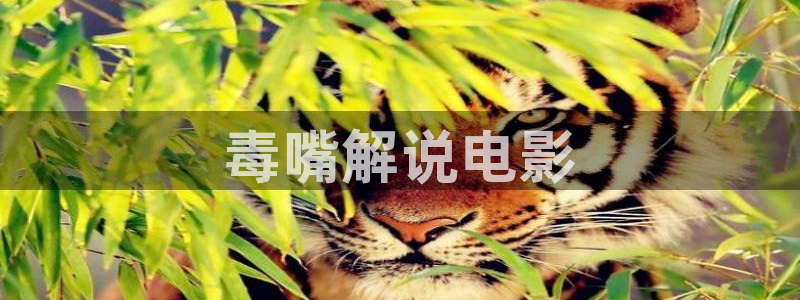 国产午夜小视频在线播放