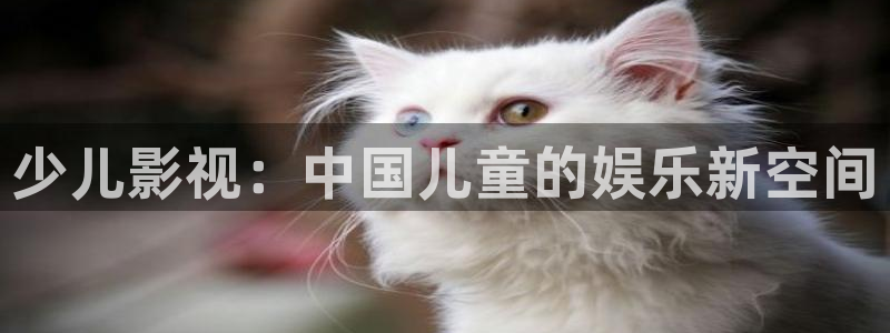 神马伦理午夜影院