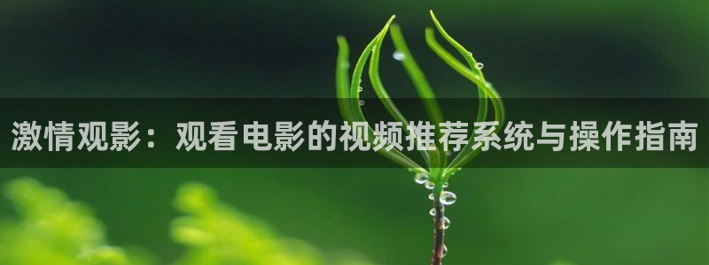 国产午夜av成人