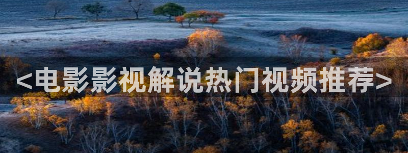 午夜电影免费提供