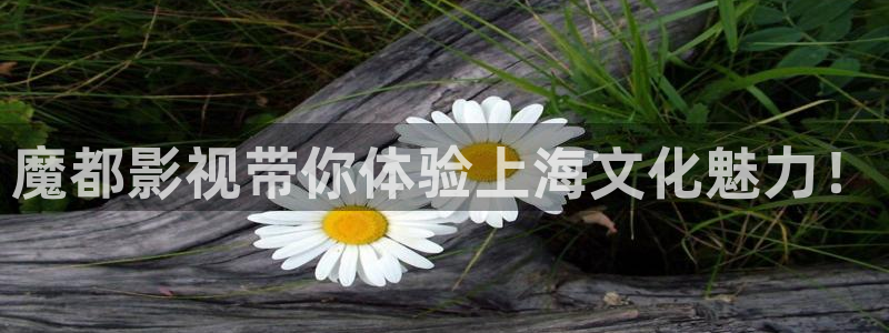 福利社 午夜影院