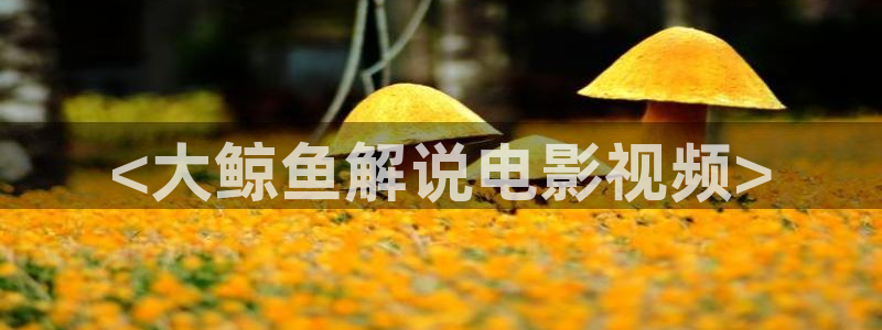 567电影网午夜理论片