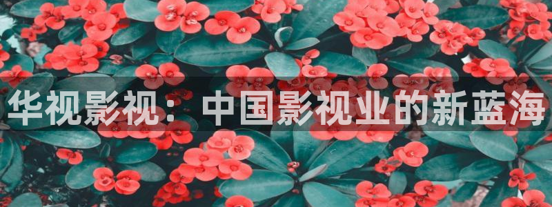 精品午夜影视