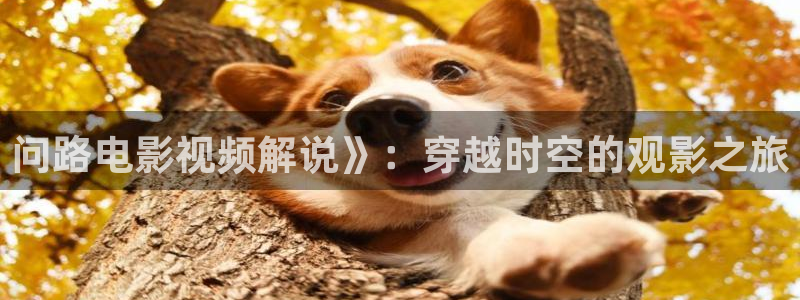 yy电影午夜