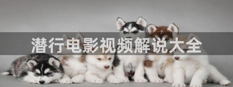 男人午夜片