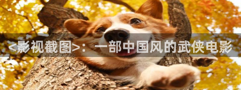 美国午夜在线