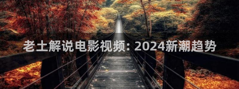 亚洲午夜电影伦理在线观看