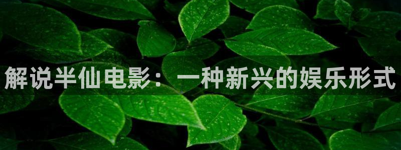 秋霞国产成人精品午夜在线观看