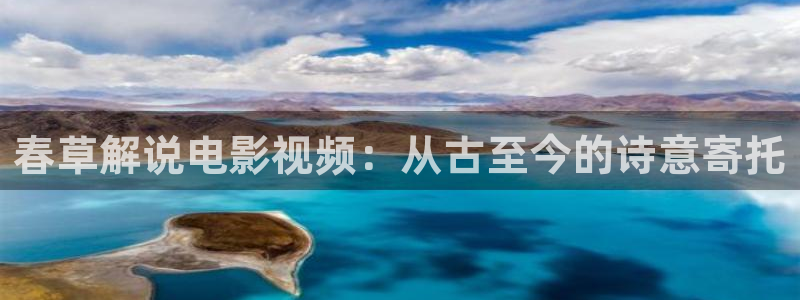 午夜dy888老子影视