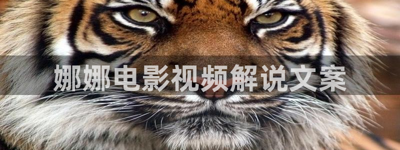 午夜在线观看视频网站