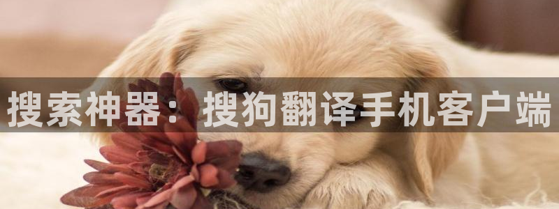 草民电影网午夜