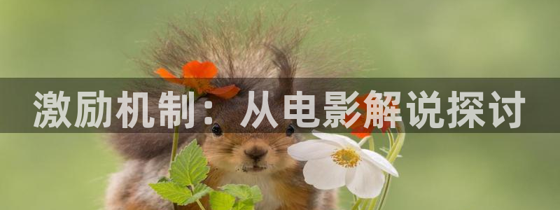 午夜伦理在线观看电影