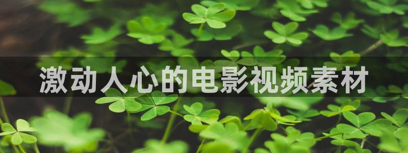 电影日本午夜