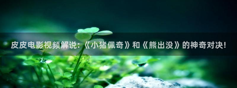 午夜影视福利：皮皮电影视频解说: 《小猪佩奇》和《熊出没》的神奇对决!