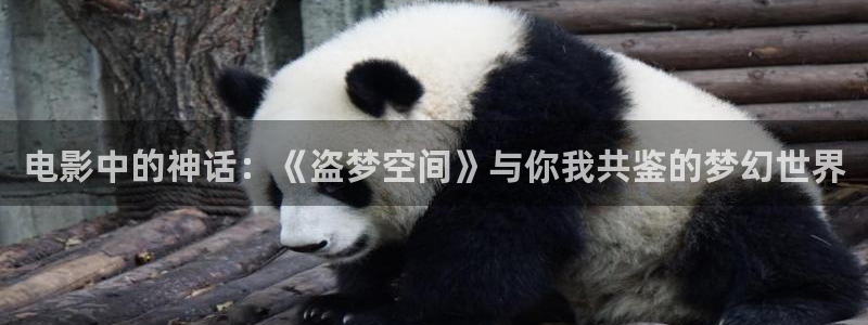 午夜理论电影在线观看