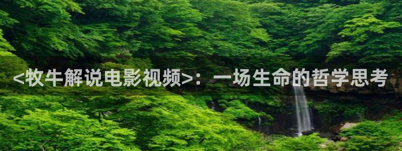 人体艺术电影午夜在线播放