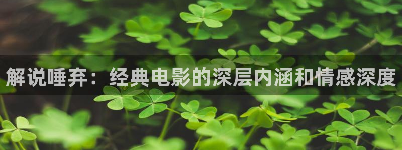 精品午夜免费视频