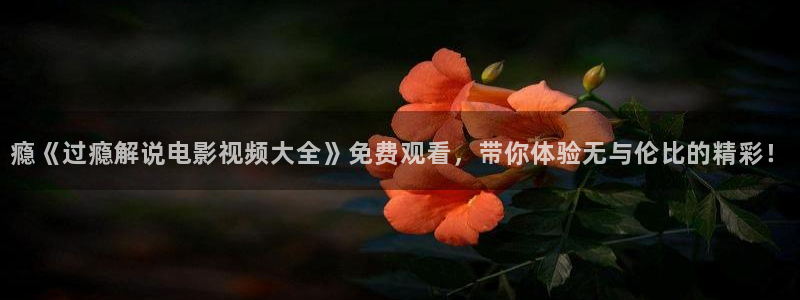 久久久午夜伊人影院