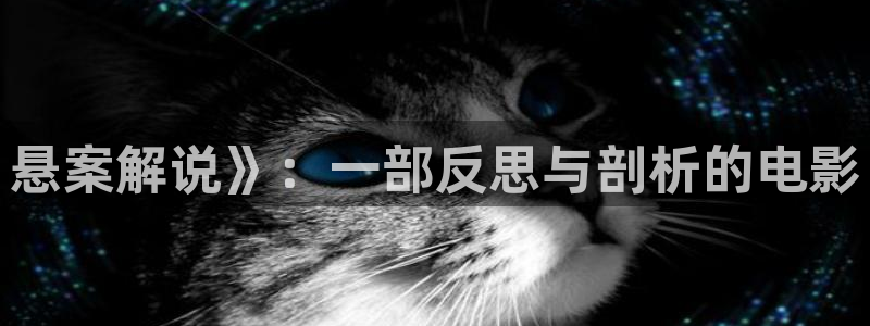 日韩午夜剧情片