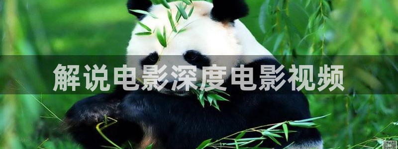 欧洲午夜生活片欧欧美