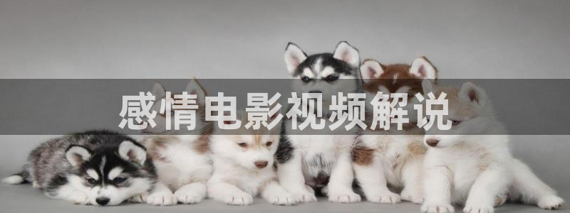 国产一级午夜黄色片