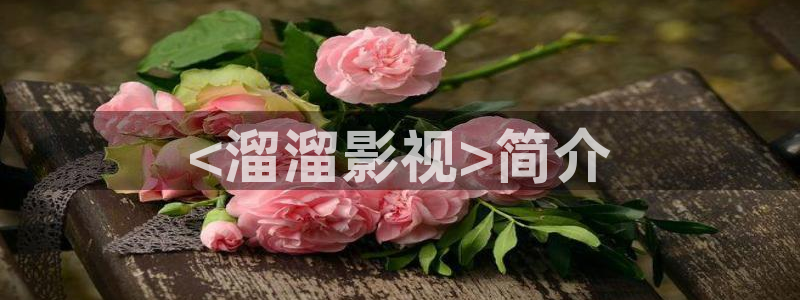飘花午夜影院