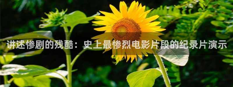 韩国理论电影午夜