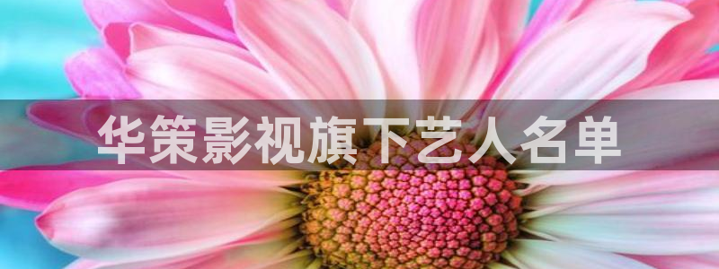 啪啪啪午夜电影