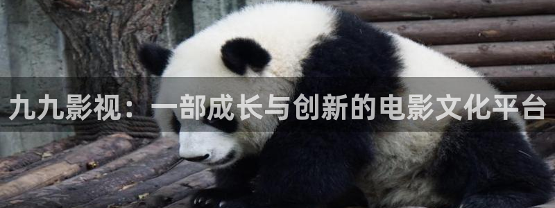 成午夜影院