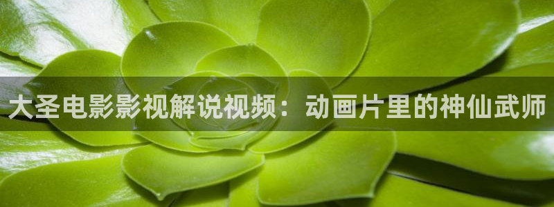 成人午夜影视免费