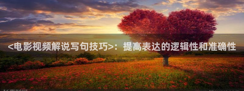午夜大片爽爽一区二区
