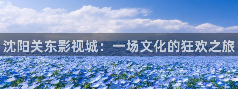 午夜电影精品一区二区久久久