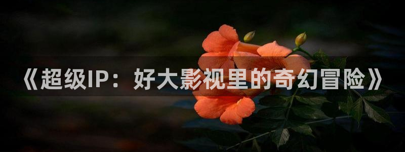 午夜电影一二三区