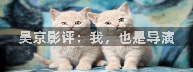 星辰午夜影院：吴京影评：我，也是导演