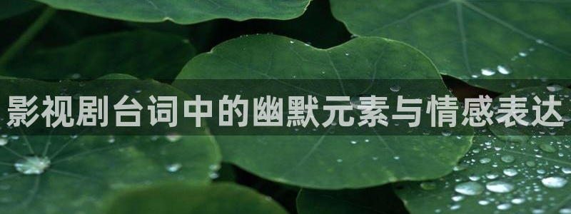 午夜末班车电影：影视剧台词中的幽默元素与情感表达