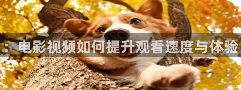 午夜影院老湿机