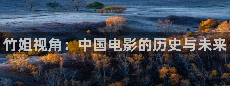 午夜男女大片免费看：竹姐视角：中国电影的历史与未来
