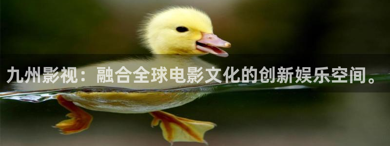午夜伦理在线在线观看视频：九州影视：融合全球电影文化的创新娱乐空间。